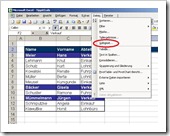 Excel 2003: Menü – Daten – Gültigkeit